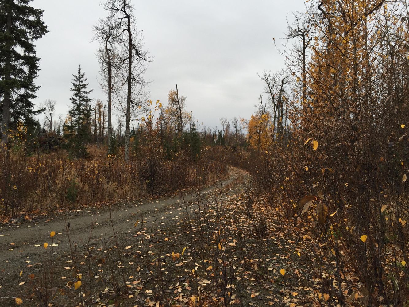 63885 Tailwind Rd, Ninilchik, AK 99639